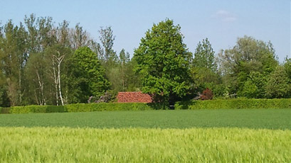 foto huis mattenbosstraat